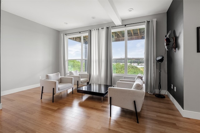 20107 Continental Dr Unit A, Lago Vista, TX 78645 - living area featuring wood finished floors and beam ceiling