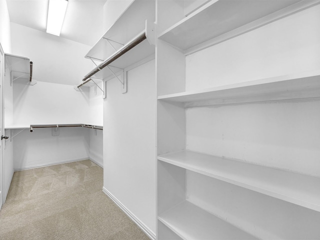 14402 Cottage Timbers Ln, Houston, TX 77044 - spacious closet with light carpet