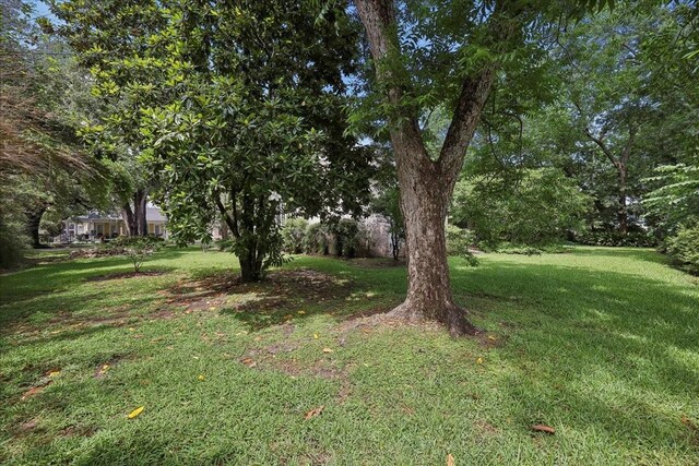 1007 Pine Ave, Orange, TX 77630 - photo 38