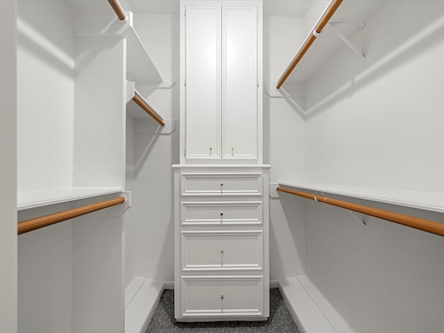 1735 Hodge Lake Ln, Sugar Land, TX 77478 - walk in closet with dark carpet