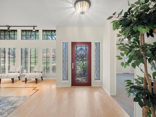 1735 Hodge Lake Ln, Sugar Land, TX 77478 - foyer featuring wood finished floors and baseboards