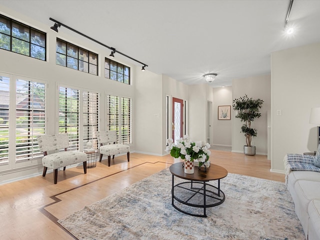 1735 Hodge Lake Ln, Sugar Land, TX 77478 - living room featuring rail lighting, wood finished floors, and baseboards