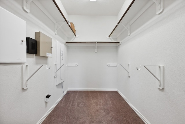 18934 Sorrento Point Dr, New Caney, TX 77357 - walk in closet featuring carpet
