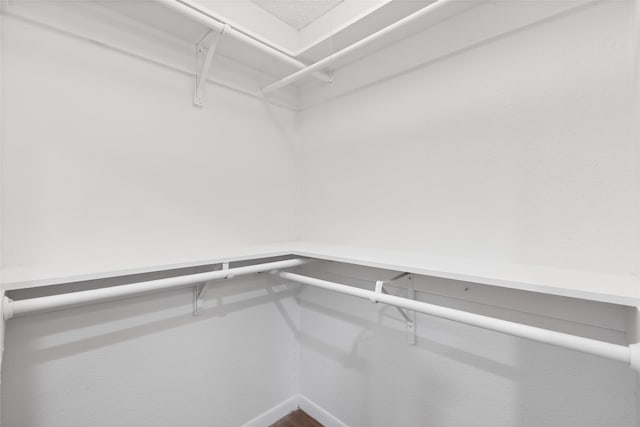 2314 Peaceful Valley Dr, Spring, TX 77373 - view of spacious closet