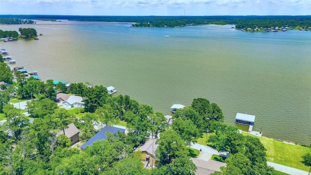 311 Harbor Dr, Onalaska, TX 77360 - aerial view of property's location featuring a large body of water