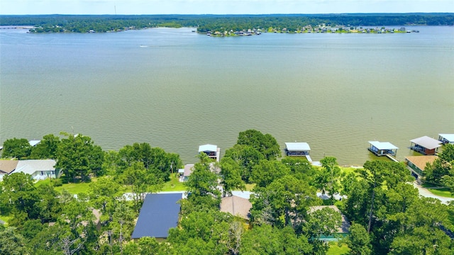 311 Harbor Dr, Onalaska, TX 77360 - aerial view of a large body of water