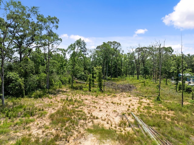 4015 W Fm 2693, New Waverly, TX 77358