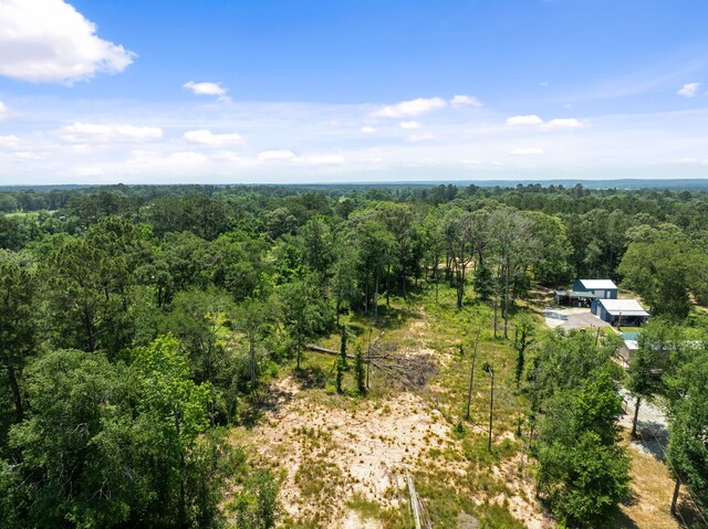 4015 W Fm 2693, New Waverly, TX 77358