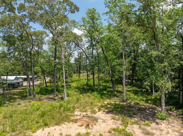4015 W Fm 2693, New Waverly, TX 77358
