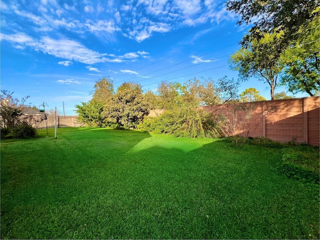 11 Crestview Trl, Houston, TX 77082 - view of yard
