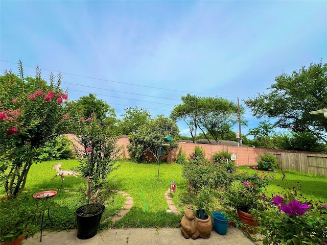11 Crestview Trl, Houston, TX 77082 - view of yard