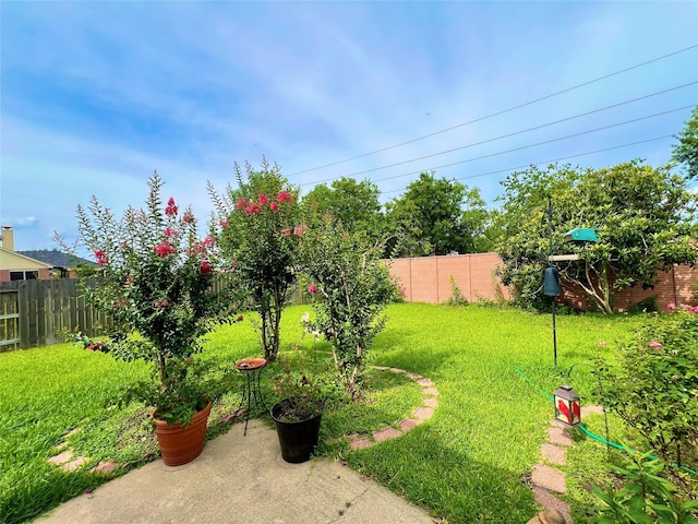 11 Crestview Trl, Houston, TX 77082 - view of yard
