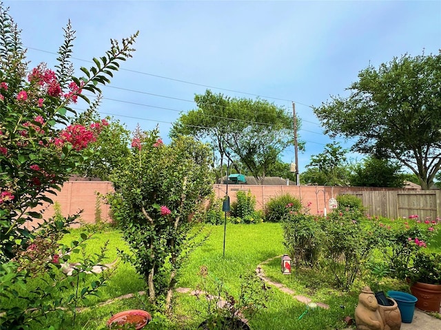 11 Crestview Trl, Houston, TX 77082 - view of yard