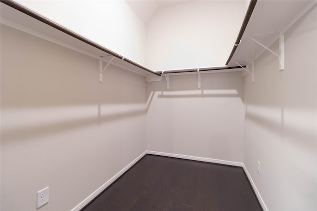 7334 Lake Arrowhead Ln, Porter, TX 77365 - walk in closet with dark wood-style floors