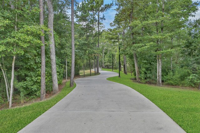 204 Lukewood Cir, Conroe, TX 77318 - photo 39
