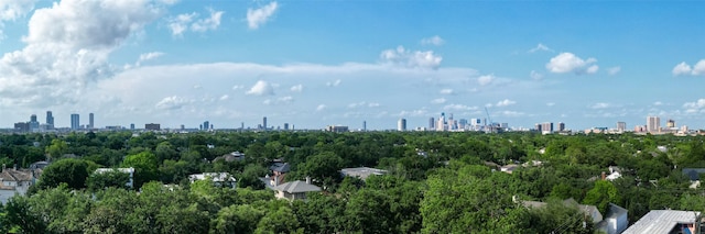 2360 Rice Blvd Unit 803, Houston, TX 77005 - bird's eye view of skyline