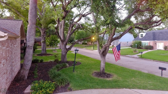 918 Longview Dr, Sugar Land, TX 77478 - view of grassy yard