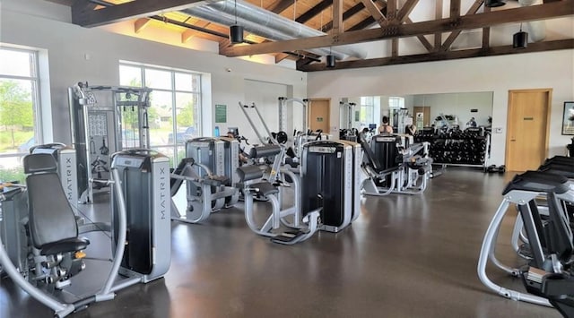 1007 Parsnip Acres Ct, Richmond, TX 77406 - exercise room featuring high vaulted ceiling, beamed ceiling, and healthy amount of natural light