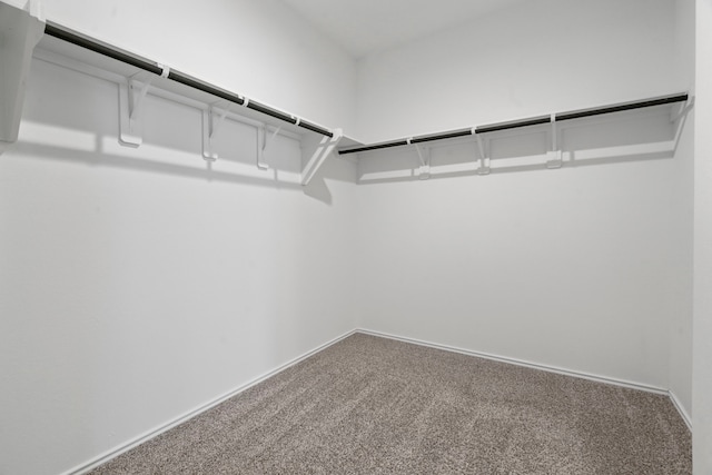 5115 Belmont Hill Ct, Spring, TX 77373 - spacious closet featuring carpet flooring