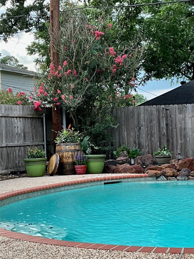 5718 Glenmere Ln, Spring, TX 77379 - view of pool
