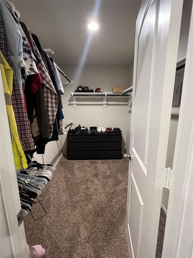 15466 Sicomoro Viejo St, Channelview, TX 77530 - walk in closet featuring carpet floors