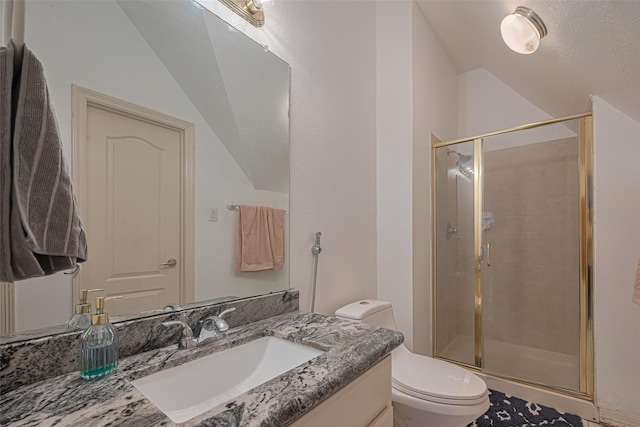 7207 Alder Springs Ct, Katy, TX 77494 - full bath with lofted ceiling, toilet, a stall shower, and vanity