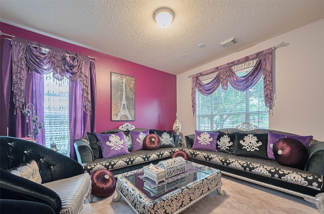 7207 Alder Springs Ct, Katy, TX 77494 - carpeted living area featuring a textured ceiling