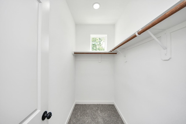 4358 Clover St, Houston, TX 77051 - photo 28