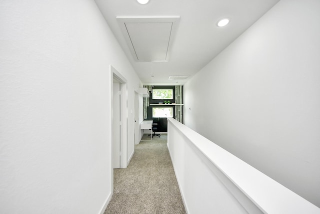 4358 Clover St, Houston, TX 77051 - photo 15