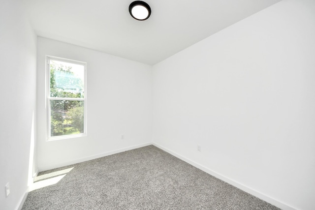 4358 Clover St, Houston, TX 77051 - photo 16
