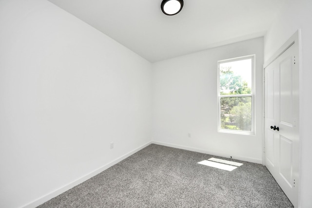 4358 Clover St, Houston, TX 77051 - photo 19