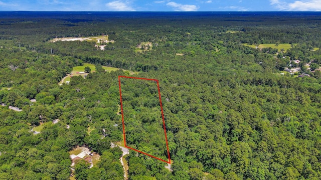 TBD Johnson Rd, Huntsville, TX 77320 - photo 4