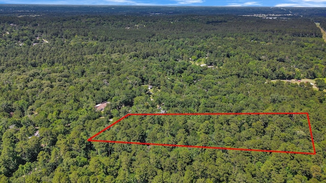 TBD Johnson Rd, Huntsville, TX 77320 - photo 5