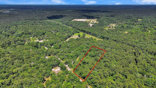 TBD Johnson Rd, Huntsville, TX 77320 - photo 7