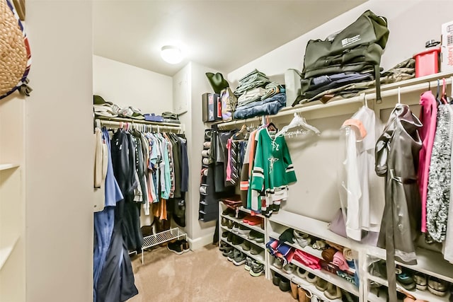 1513 Nagle St, Houston, TX 77003 - walk in closet with carpet floors
