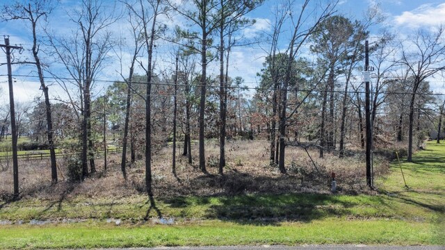 TBD26 Fm 3277, Livingston, TX 77351