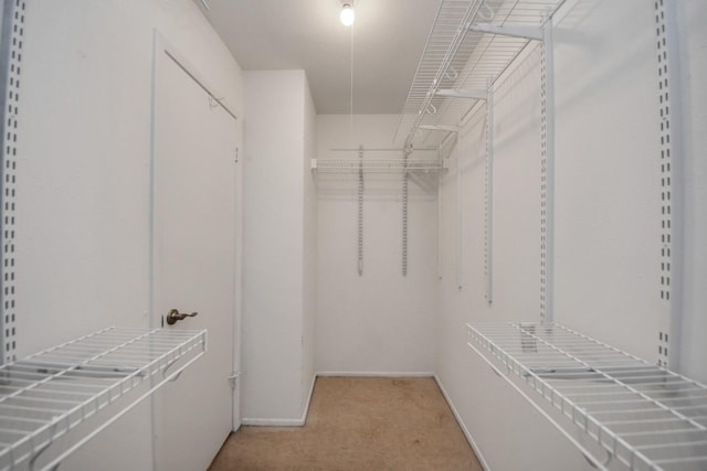 1409 N Park Ridge Dr, Deer Park, TX 77536 - spacious closet with carpet floors