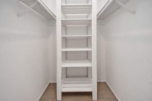 1409 N Park Ridge Dr, Deer Park, TX 77536 - walk in closet with carpet floors