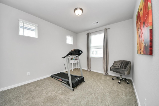 10053 Cloud Mist Dr, Houston, TX 77080 - exercise room with carpet and baseboards