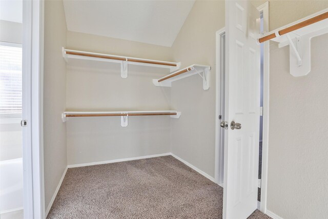 19919 Upland Creek Dr, Katy, TX 77449 - photo 30
