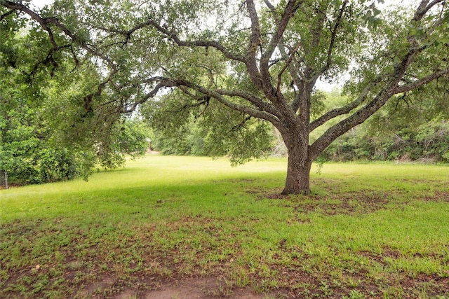 5150 Sandy Creek Ln, Brenham, TX 77833 - view of green lawn
