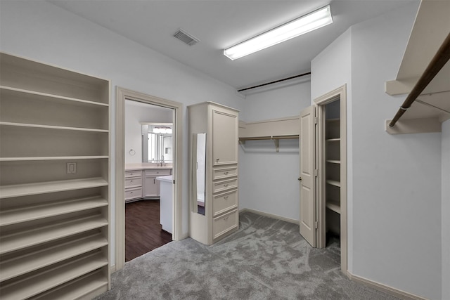 22 Creekwood Dr, Montgomery, TX 77356 - walk in closet with dark carpet and a sink