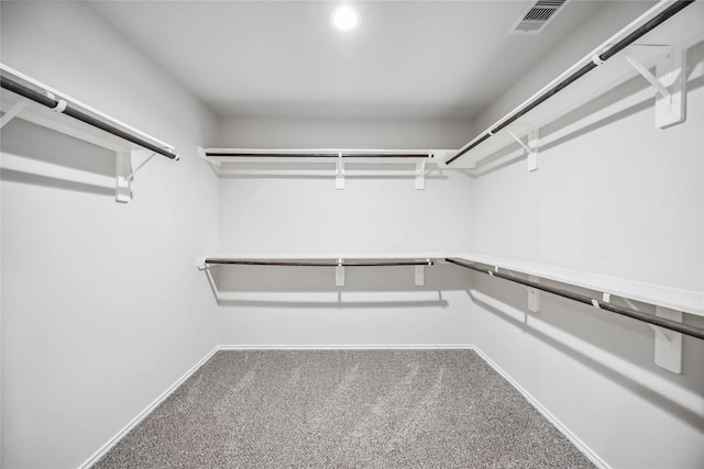 5627 Rainflower Terrace Ln, Spring, TX 77389 - spacious closet featuring carpet