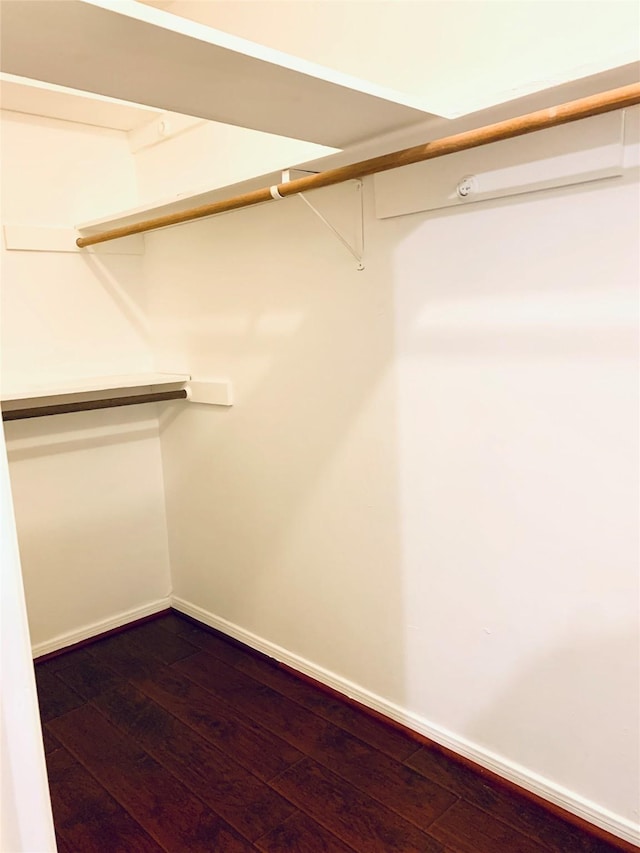 223 Kings Way, Stafford, TX 77477 - walk in closet with dark wood-type flooring