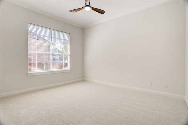 13502 Winter Creek Ct, Houston, TX 77077 - spare room featuring baseboards, ceiling fan, carpet flooring, and ornamental molding