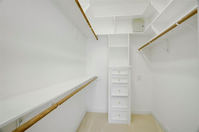 13502 Winter Creek Ct, Houston, TX 77077 - view of spacious closet