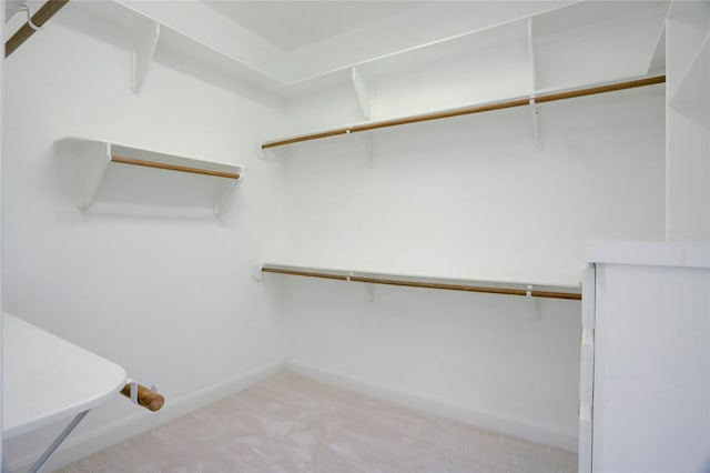 13502 Winter Creek Ct, Houston, TX 77077 - walk in closet featuring carpet floors