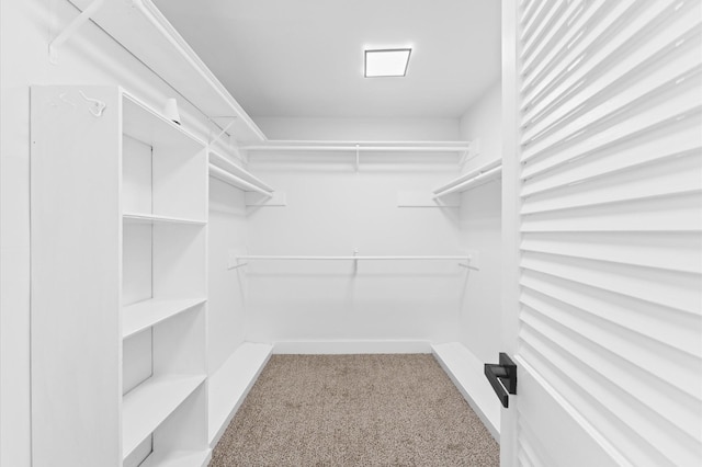 5507 Council Grove Ln, Houston, TX 77088 - walk in closet featuring carpet