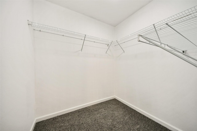 80 Rd 5608, Cleveland, TX 77327 - walk in closet with dark carpet