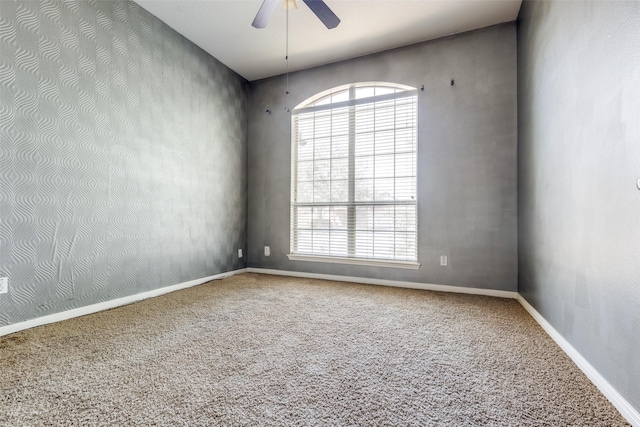 2803 Youpon Glen Way, Fresno, TX 77545 - empty room featuring plenty of natural light, carpet flooring, and ceiling fan